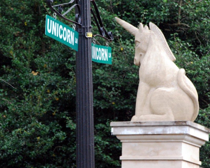 Image result for unicorn lane