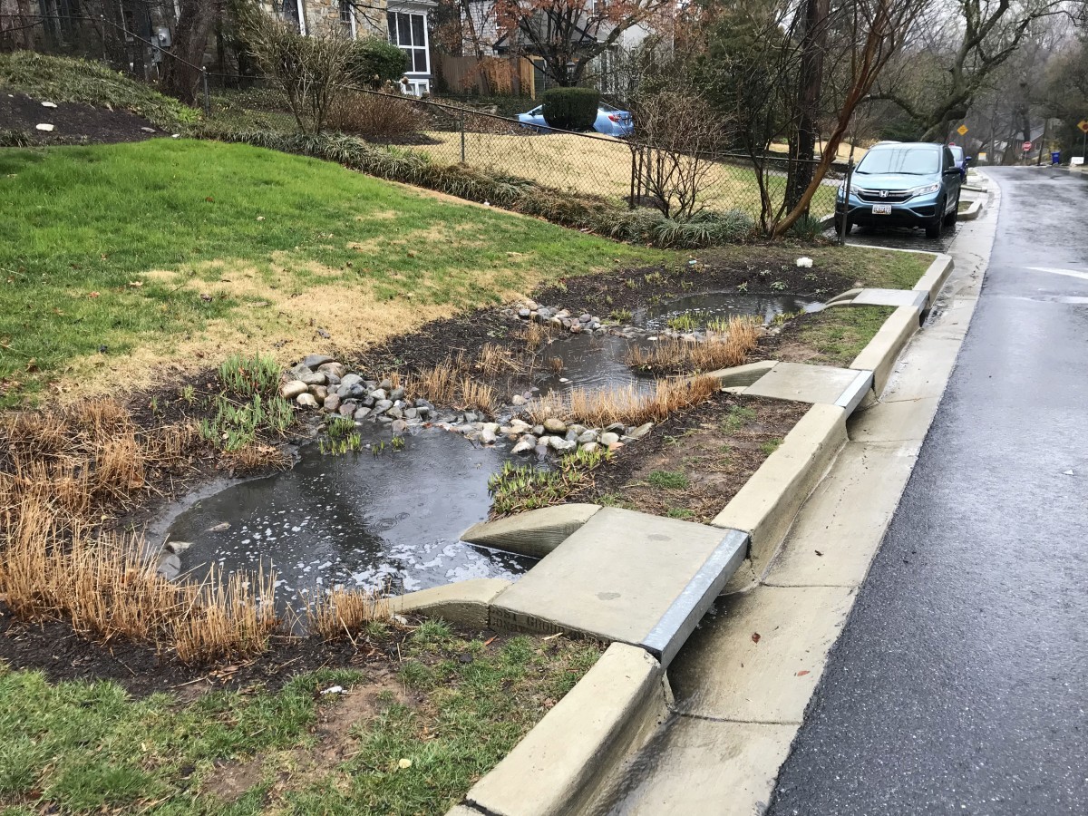 Rain Gardens - WARREN CO SWCD