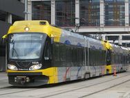 20080828_lightrail_33.jpg