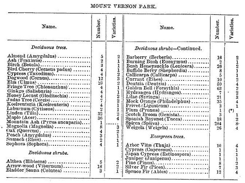 Trees &amp; Shrubs, Mt. Vernon Square, 1887