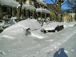 Cars in Blizzard (2/11/2010)