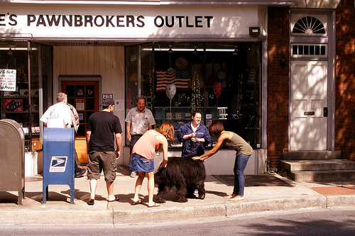 Shaggy Dog Stories, Market & 3rd