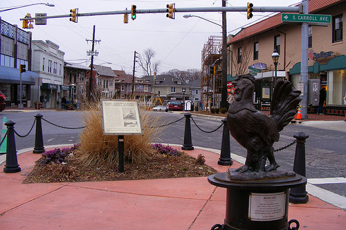 Roscoe the Rooster