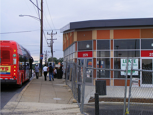 Bus, Triangle Park