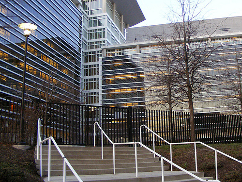 Gated-Off Entrance, Discovery Sensory Garden