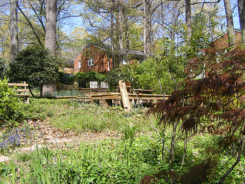 Shared Courtyard