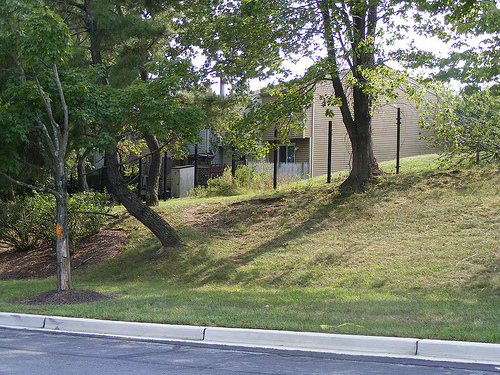 Fence Posts Along Ballinger Drive