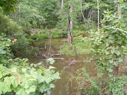 Flooding Caused by New 29 Construction, Amina Drive