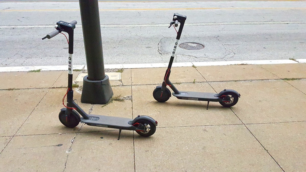 How To Get A Scooter In Adopt Me 2020
