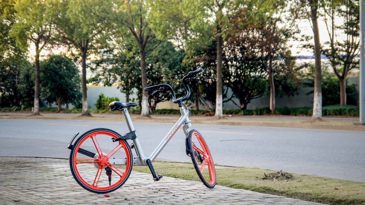 rogue bike share