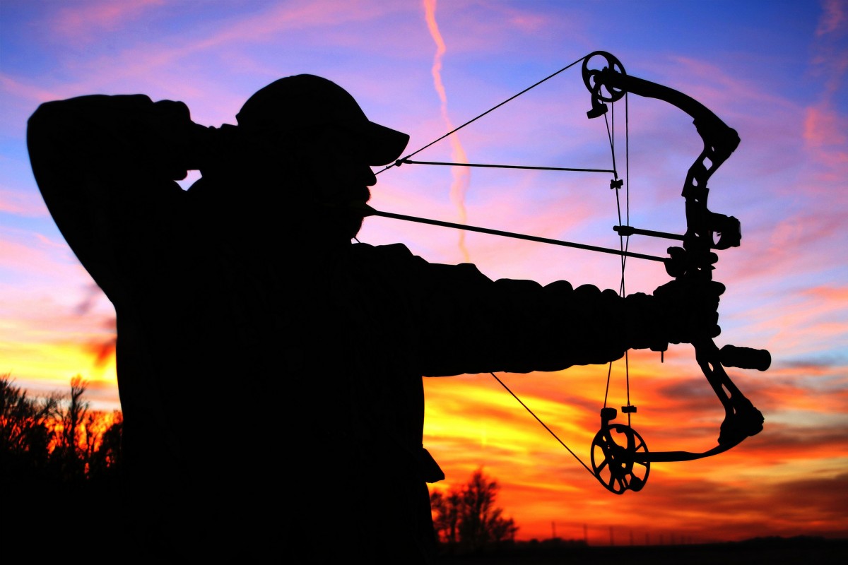 Bow hunting in a suburban neighborhood Is it wise? Safe? Greater