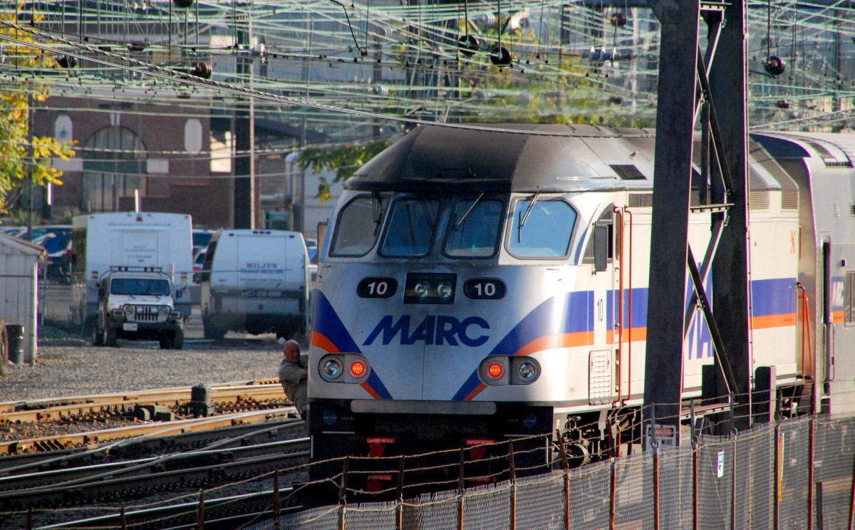 are dogs allowed on marc train