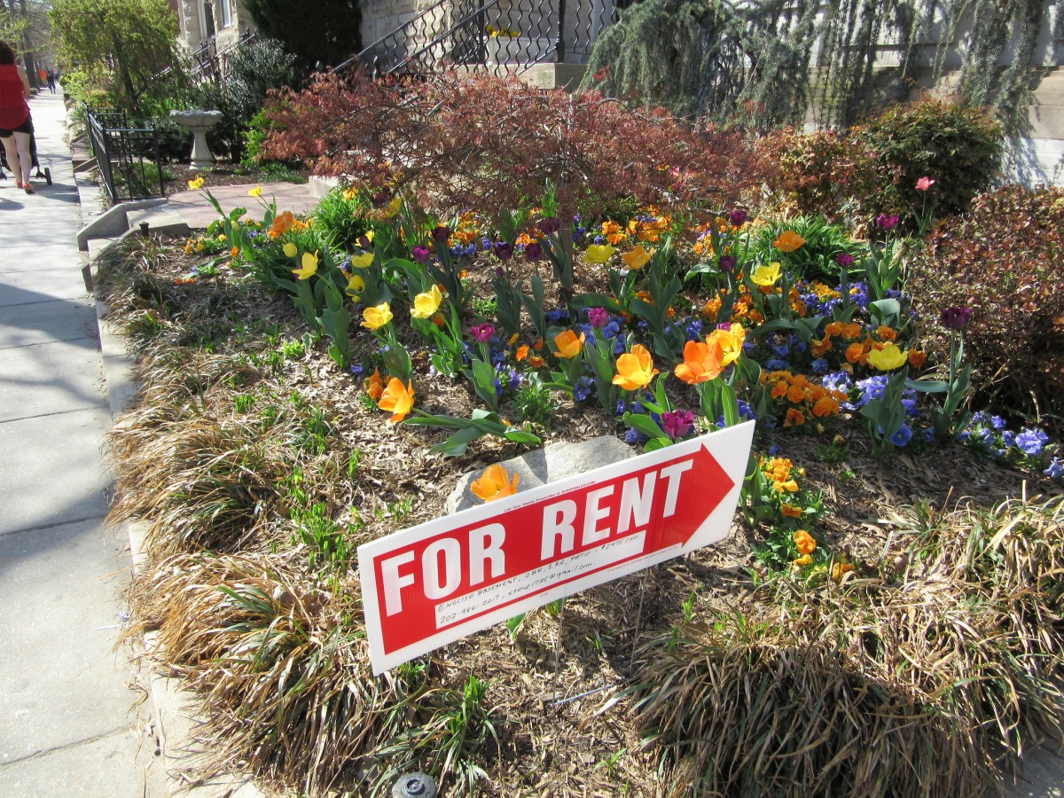 breakfast-links-soon-it-may-be-easier-to-rent-out-your-basement-or